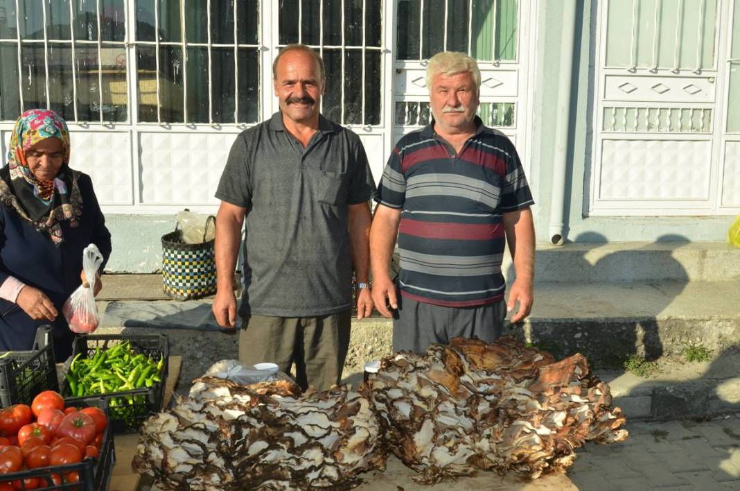 Ormanda topladıklarını satıyordu, bu kez bulduğu 37 kilogram! Sıfır sermayeli iş, almak için sıraya girdiler 7